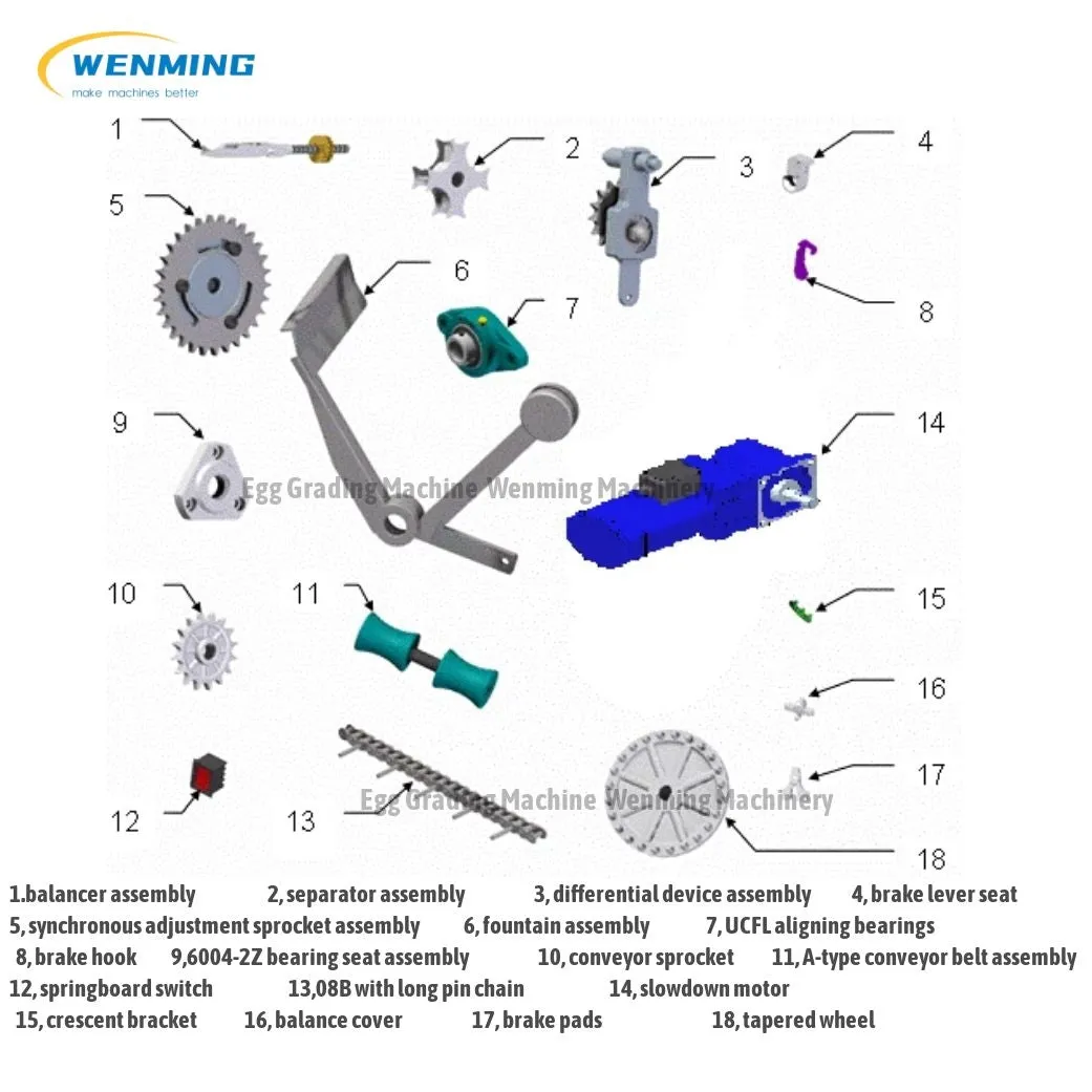 Commerical Egg Sorting Machine Egg Grading Equipment