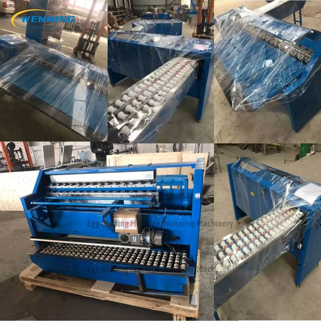 Commerical Egg Sorting Machine Egg Grading Equipment