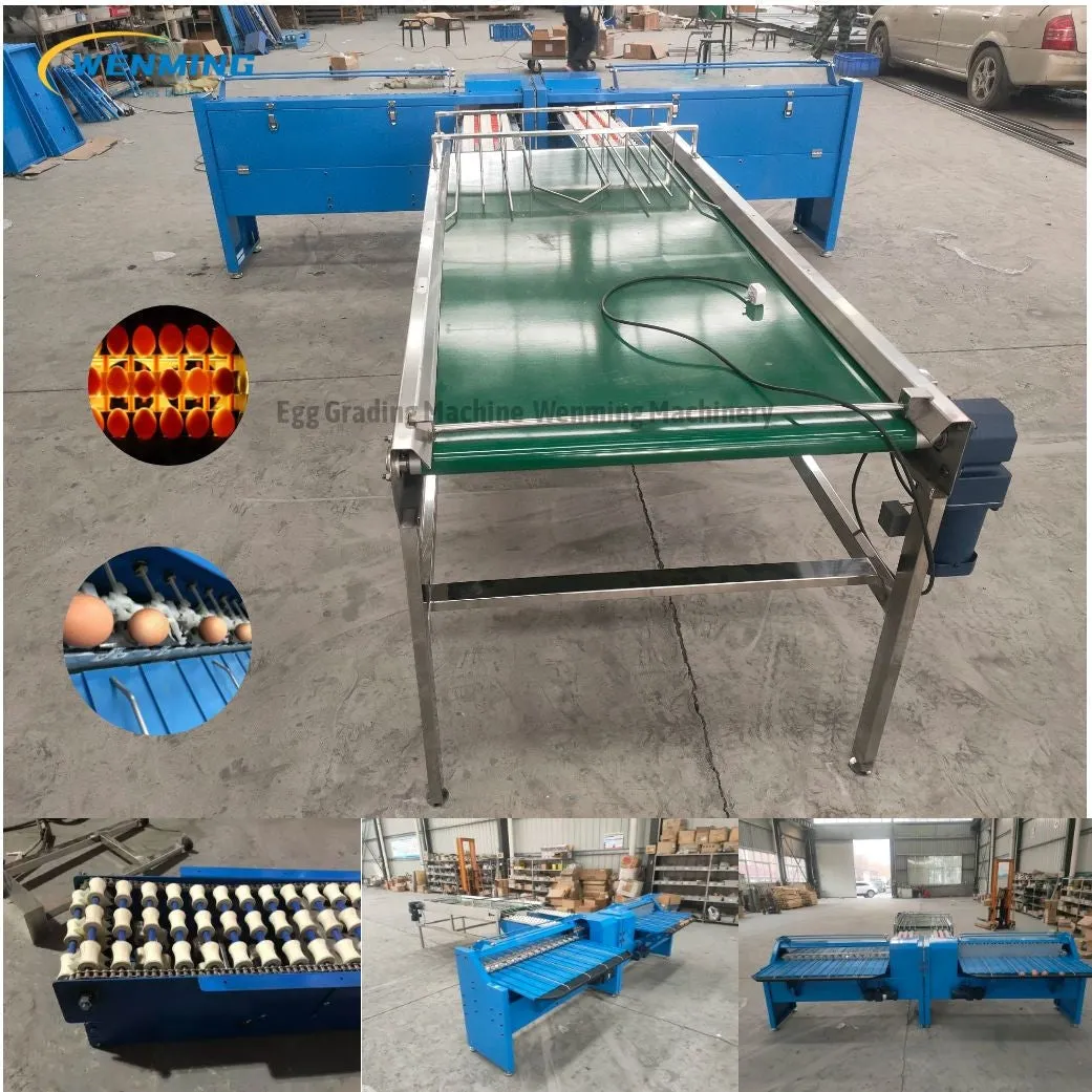 Commerical Egg Sorting Machine Egg Grading Equipment