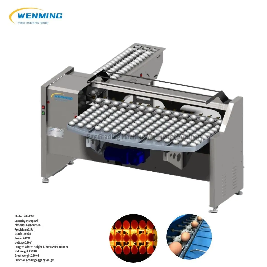 Commerical Egg Sorting Machine Egg Grading Equipment