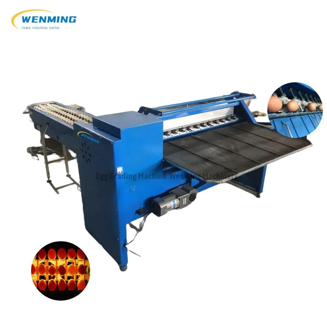 Commerical Egg Sorting Machine Egg Grading Equipment
