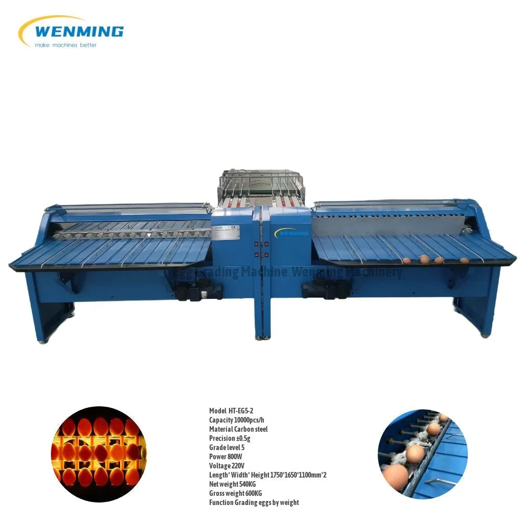 Commerical Egg Sorting Machine Egg Grading Equipment