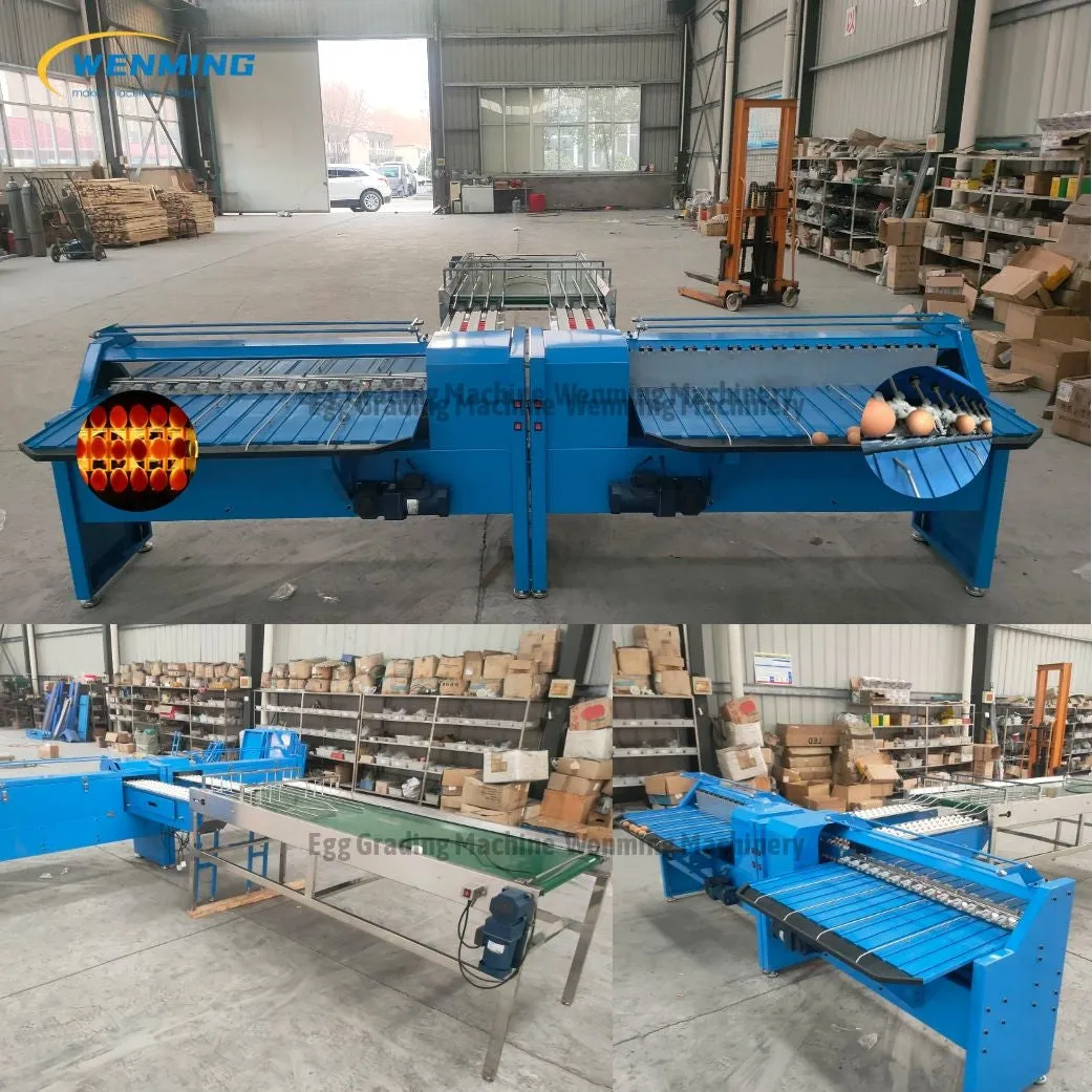 Commerical Egg Sorting Machine Egg Grading Equipment
