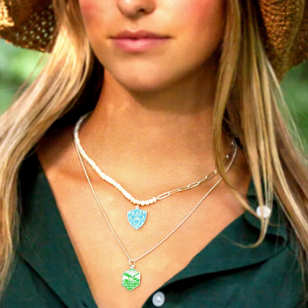 Death Valley National Park Charm, Silver Enamel