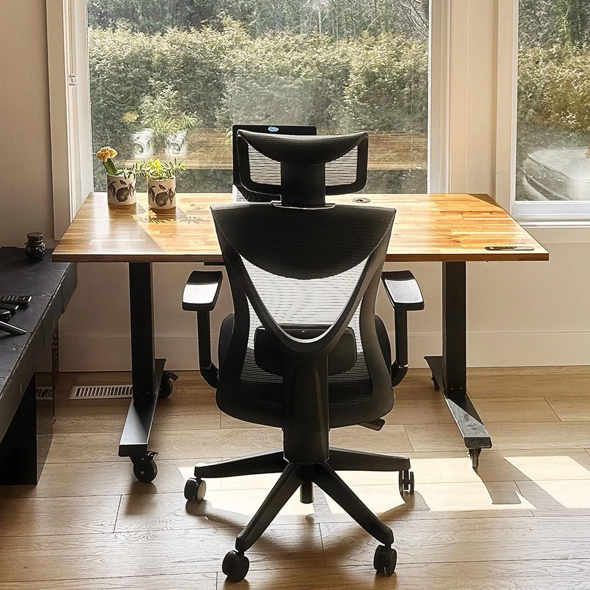 Kai Ergonomic Chair